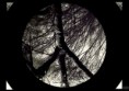 /album/fotografie/peace-logo-m-jpg/